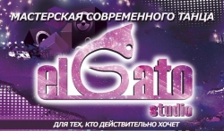 Школа танцев - El Gato Studio