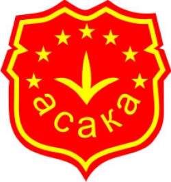 Школа боевых искусств - АСАКА